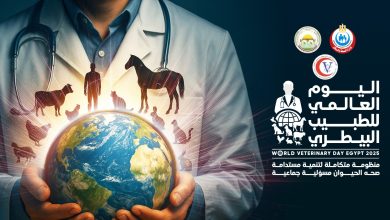 صورة غدا.. نقابة الأطباء البيطريين تحتفل باليوم العالمي للطبيب البيطري