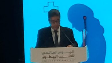 صورة نقيب الأطباء البيطريين في يومهم العالمي: الطب البيطري شريك في تحقيق الأمن الغذائي