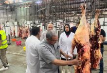 صورة الزراعة”: المجازر الحكومية تستقبل أكثر من 9800 أضحية  أول أيام العيد