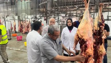 صورة الزراعة”: المجازر الحكومية تستقبل أكثر من 9800 أضحية  أول أيام العيد