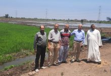 صورة رئيس المحطات الزراعة  يتفقد “الجميزة” ومدير “البساتين” في “شندويل” ووفد البحوث الزراعية في “سخا”