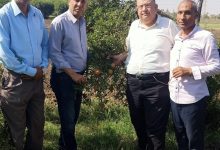 صورة رئيس المحطات الزراعة  يتفقد “الجميزة” ومدير “البساتين” في “شندويل” ووفد البحوث الزراعية في “سخا”
