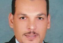 صورة د.عاطف سعد عشيبة يكتب : الطرق المثلى لحفظ لحوم الأضاحي