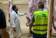 صورة صندوق التأمين على الماشية يذبح 450 أضحية لمؤسسات المجتمع المدني في مجزره  النوبارية