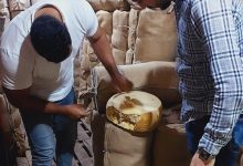 صورة سلامة الغذاء: تصدير  133  ألف طن صادرات غذائية والسعودية والسودان أكبر الأسواق.. وفحص 462 طلب تظلم وارد من الموانئ