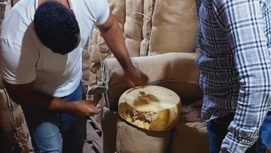 صورة سلامة الغذاء: تصدير  133  ألف طن صادرات غذائية والسعودية والسودان أكبر الأسواق.. وفحص 462 طلب تظلم وارد من الموانئ