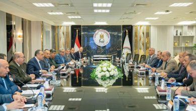 صورة وزيرا الإنتاج الحربي والكهرباء يبحثان تدبير احتياجات شركات الكهرباء