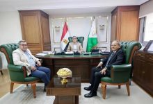 صورة محافظ الجيزة يُشكِّل لجنة لمراجعة إجراءات السلامة والصحة المهنية بالمنشآت الحيوية