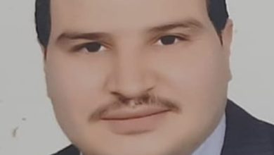 صورة د. محمود محمد الدسوقي يكتب : تصنيع جبن الموتزاريلا بالمنزل