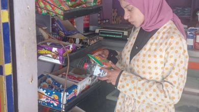 صورة سلامة الغذاء: إصدار 700 شهادة صحية .. و 867 اذن تصدير والفاصولياء والعنب على رأس القائمة