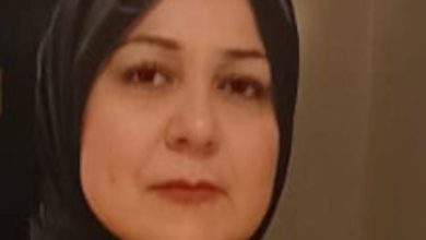 صورة د. ناهد عبدالمقتدر الوحش تكتب : التحول الأستراتيجي نحو أمن غذائي مستدام.. الخطة التنفيذية لنظم الغذاء والتغذية في مصر 2025–2030
