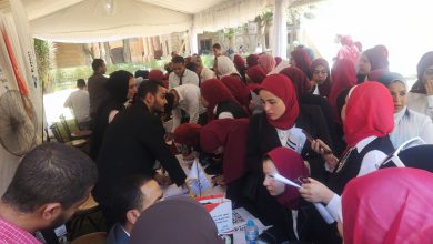 صورة وسط إقبال كثيف من خريجي الكليات والمعاهد.. طرح 35 ألف فرصة جديدة عمل للشباب(صور)