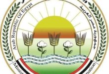 صورة “الزراعة” تعلن عن موافقة الاتحاد الأوروبي على تيسير إجراءات تصدير البطاطس المصرية