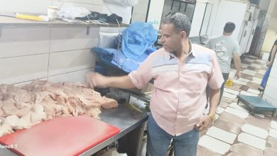 صورة محافظة الجيزة تضبط أكثر من  11 طنًّا  من مصنّعات وهياكل ومفروم دواجن  فاسدة