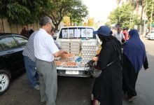 صورة  “الزراعة” تطلق قافلة منافذ متحركة بميادين القاهرة الكبرى لبيع منتجات “الإصلاح الزراعي”