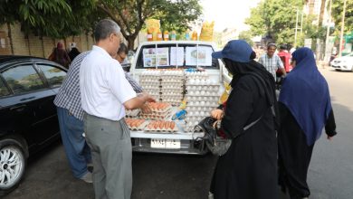 صورة  “الزراعة” تطلق قافلة منافذ متحركة بميادين القاهرة الكبرى لبيع منتجات “الإصلاح الزراعي”