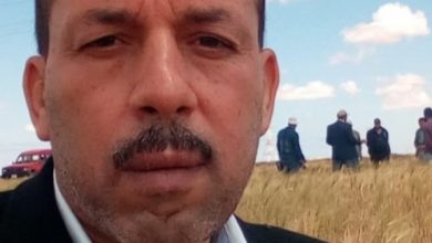 صورة د. بدوي رجب مهدي يكتب : القمح والشعير والأصداء
