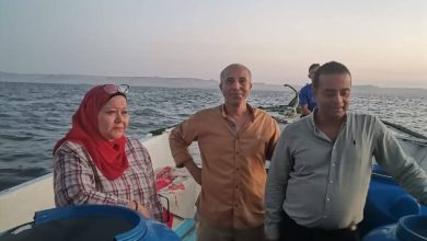 صورة إطلاق الدفعة الرابعة من زريعة الجمبري في بحيرة قارون