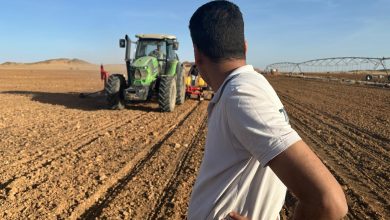 صورة رئيس “تحسين الأراضي” يتفقد محطة الزراعة الآلية في توشكى(صور)
