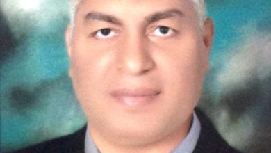 صورة الدكتور إبراهيم عبدالباقي يكتب : الجُبن… مَانِح ُالسعادة