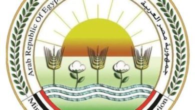 صورة “الزراعة “تكشف  اسباب نفوق الأسماك في مزارع بحيرة المنزلة