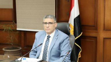 صورة محافظ الجيزة: تفتيش عمالي على ٧٠١ منشأة.. وتحرير ٢٠٩ محضرًا مخالفات