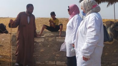 صورة “الخدمات البيطرية” تنفذ أكثر من 9 آلاف زيارة للتقصي والرصد الوبائي للأمراض
