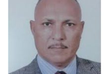 صورة د. فوزي محمد ابودنيا يكتب : إنتاج فيلم شبه بلاستيكي من قش الأرز يستخدم فى الزراعة بديلا عن البلاستيك