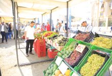 صورة الزراعة: الصادرات الزراعية المصرية ترتفع إلى  7 ملايين طن
