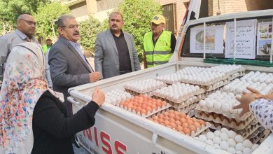 صورة “الزراعة” تطلق 6 منافذ متنقلة لبيع بيض المائدة بأسعار مخفضة في القاهرة والجيزة(صور)
