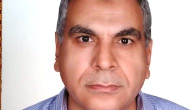 صورة د. علي بيومي يكتب : الألوان الطبيعية بين القيمة الغذائية والأهمية الصحية