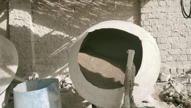 صورة محافظة الجيزة تضبط 3 منشآت غير مرخصة لإنتاج الأسمدة المغشوشة بالصف