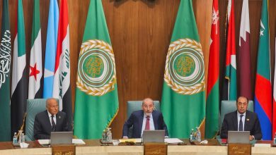 صورة أبو الغيط: ضرورة  العمل بكل السبل على مشروع الدولة الفلسطينية