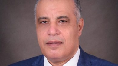 صورة د. علاء عزوز يكتب : الفلاح المصري.. صانع الأمن الغذائي وعصب التنمية