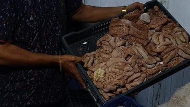 صورة الجيزة” تضبط 3 أطنان برجر وسجق وعجينة كفتة ودهون حيوانية فاسدة