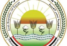 صورة “الزراعة” و”كاردني” ينظمان ورشة عمل تدريبية حول تعزيز دور الإرشاد الزراعي في دعم التنمية الريفية والزراعة