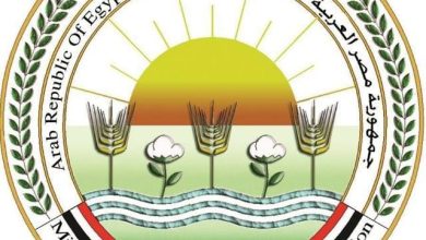 صورة “الزراعة” و”كاردني” ينظمان ورشة عمل تدريبية حول تعزيز دور الإرشاد الزراعي في دعم التنمية الريفية والزراعة
