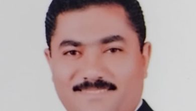 صورة د. حسين علي يكتب : الأهمية الغذائية لزيت الزيتون وتأثيره على الصحة العامة