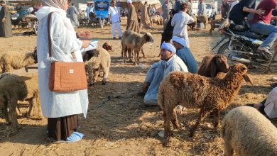 صورة “الخدمات البيطرية” تنفذ أكثر من 8 آلاف زيارة للتقصي النشط