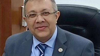 صورة د. محمد الشربيني يكتب : الإنزيمات في الأعلاف: مفاتيح صغيرة لثورة كبيرة في الإنتاج الحيواني