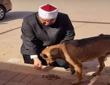 صورة “الزراعة” ترد على دعوات الامتناع عن إطعام الكلاب الضالة