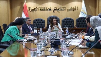صورة “الجيزة” تتابع الاستعدادات لانطلاق مهرجان التمور الدولي بالواحات البحرية