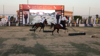 صورة محافظ القاهرة يشهد انطلاق فعاليات مهرجان الشرقية للخيول العربية بالعاشر من رمضان