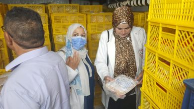 صورة “الزراعة” : ضبط أكثر من 224 طن لحوم ودواجن وأسماك فاسدة.. وتحرير 466 محضرًا
