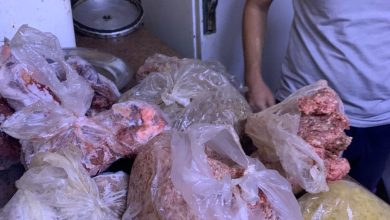 صورة سلامة الغذاء: رقابة مكثفة على السلاسل التجارية لضمان غذاء آمن.. وضبط معمل ألبان غير مرخص بمركز الخانكة