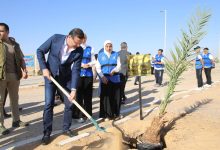 صورة وزيرا الزراعة والتنمية المحلية يطلقان المرحلة الرابعة من المبادرة الرئاسية لزراعة ١٠٠ مليون شجرة