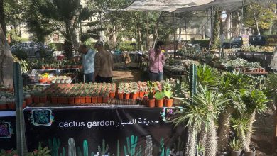 صورة غدا وزير الزراعة يفتتح معرض البساتين بجامعة القاهرة