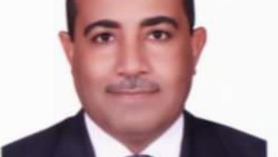 صورة د. عادل فكار يكتب : طرق مكافحة الهالوك