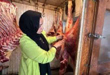 صورة سلامة الغذاء: حملات تفتيش على الاغذية.. و تصدير 800 صنف منتجات  غذائية بإجمالي 200 ألف طن