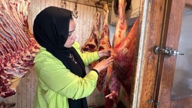 صورة سلامة الغذاء: حملات تفتيش على الاغذية.. و تصدير 800 صنف منتجات  غذائية بإجمالي 200 ألف طن